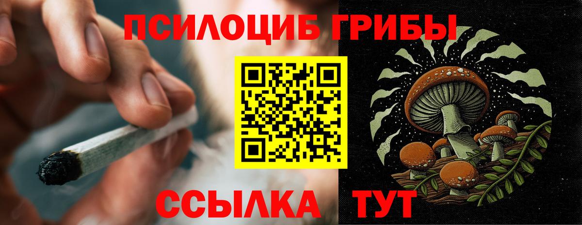 Галлюциногенные грибы MAGIC MUSHROOMS Луховицы